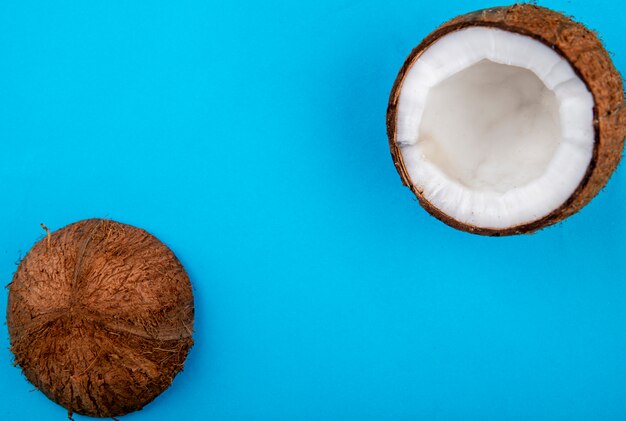 Top view of halved fresh big coconut on blue surface