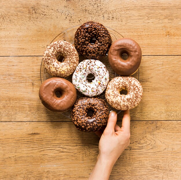 Top view of hand holding plate with variety of donuts