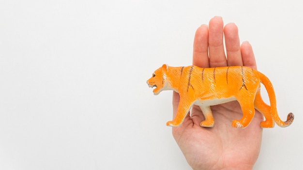 Top view of hand holding tiger figurine for animal day