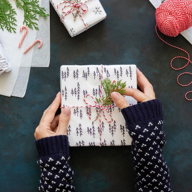 Top view of hands decorating christmas gift with plant