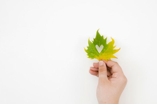 Foto gratuita mani di vista superiore che tengono le foglie di autunno