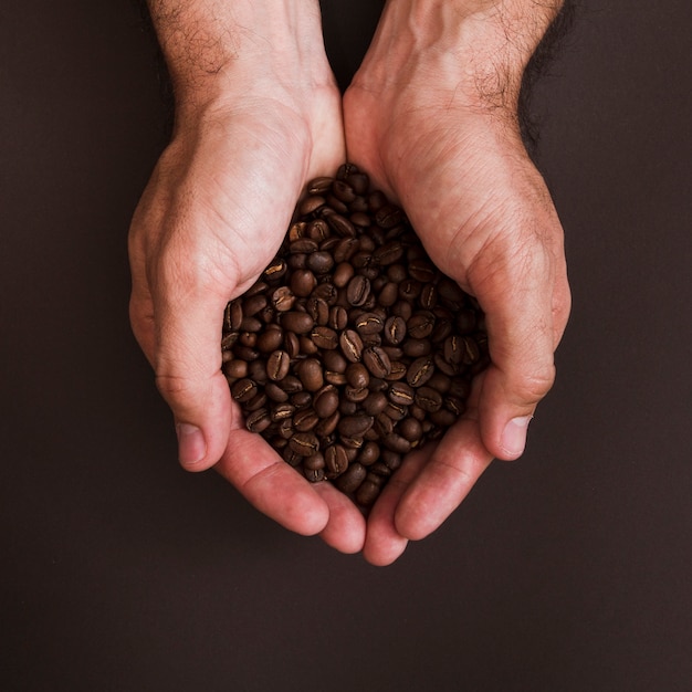 Top view hands holding coffee grains