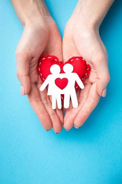 Free photo top view hands holding paper cut family concept
