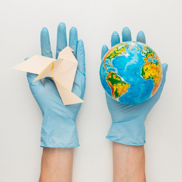 Top view of hands with gloves holding dove and globe