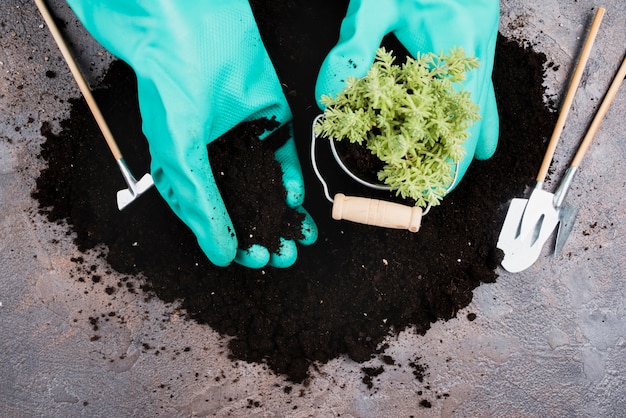 Top view of hands with gloves 