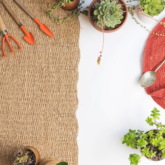 Top view hat with gardening elements