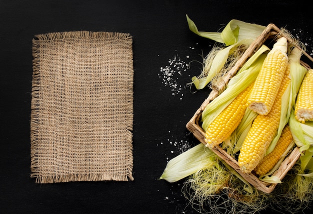 Top view healthy corn composition