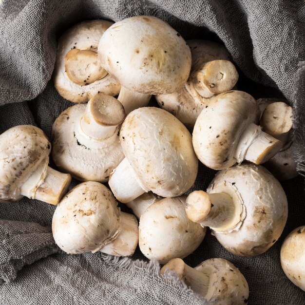 Top view healthy mushrooms arrangement