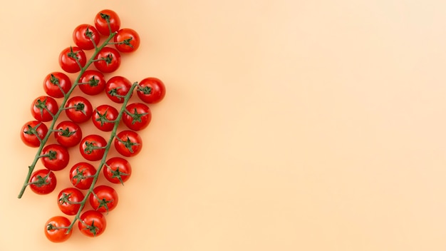 Top view healthy tomatoes frame