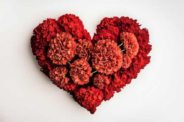 Free photo top view of heart made of blooming flowers