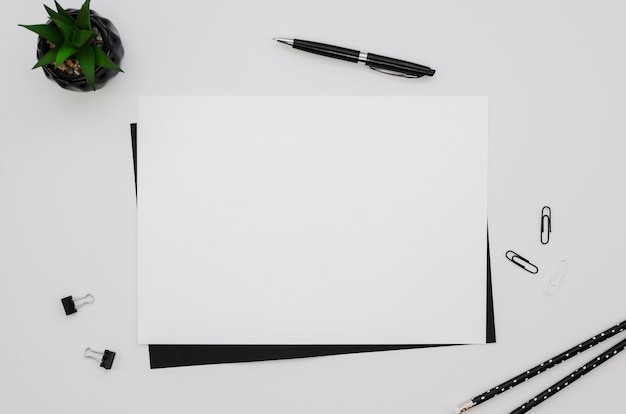 top view of horizontal paper with pen and plant