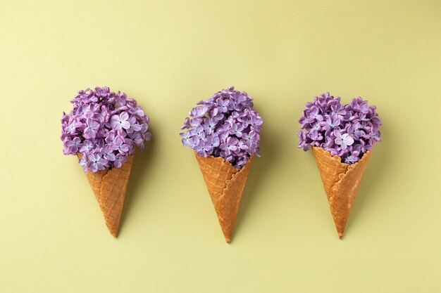 Top view ice cream cones with flowers