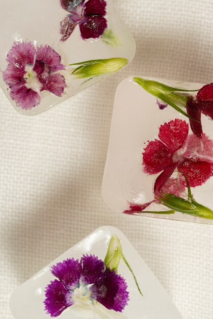 Top view  ice cubes with flowers