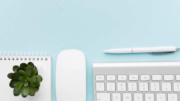 Top view keyboard and plant arrangement