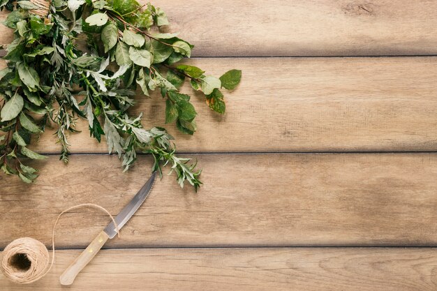 Top view of knife; string and variety of green plant leaves on table