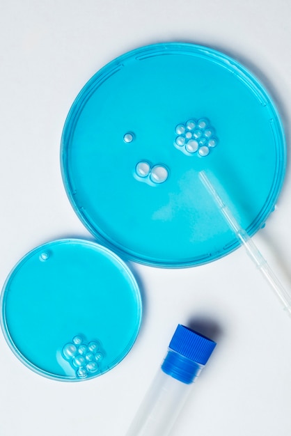 Top view laboratory samples arrangement