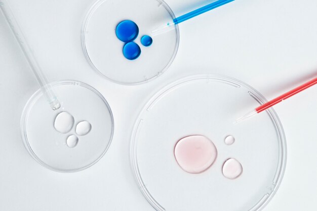 Top view laboratory samples arrangement