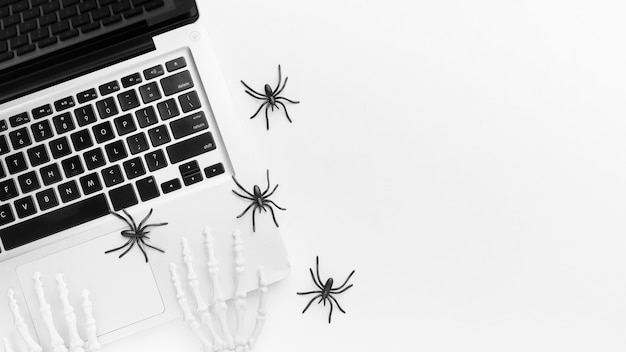 Top view laptop and creepy spiders with copy space