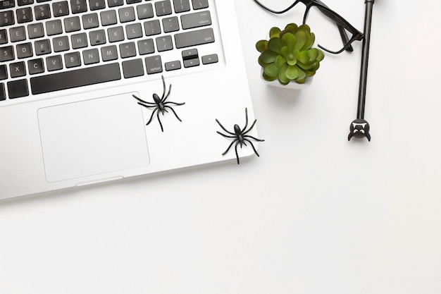 Top view laptop with spooky spiders