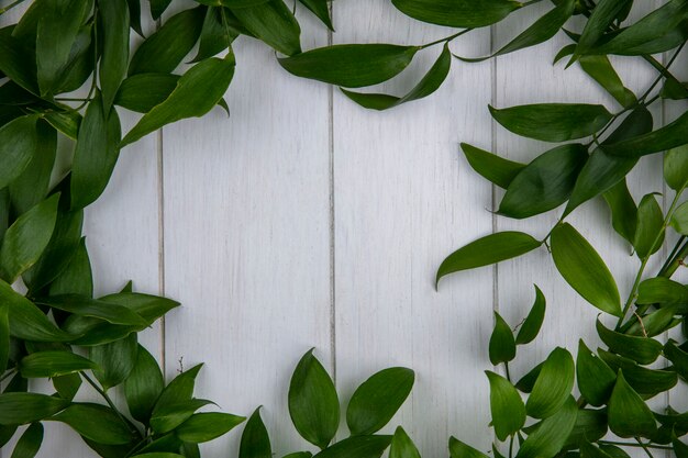 Top view of leaf branches on gray surface