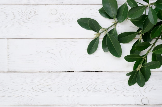 Free photo top view of leafs concept with wooden table