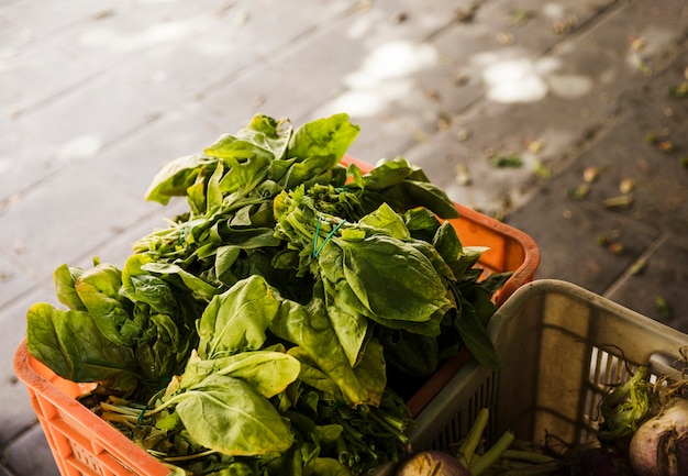 Top view of leafy vegetable in crate at supermarket