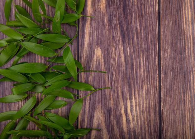 Top view of leaves on left side and wooden surface