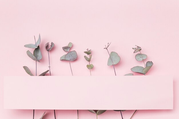 Top view leaves on pink background with blank paper