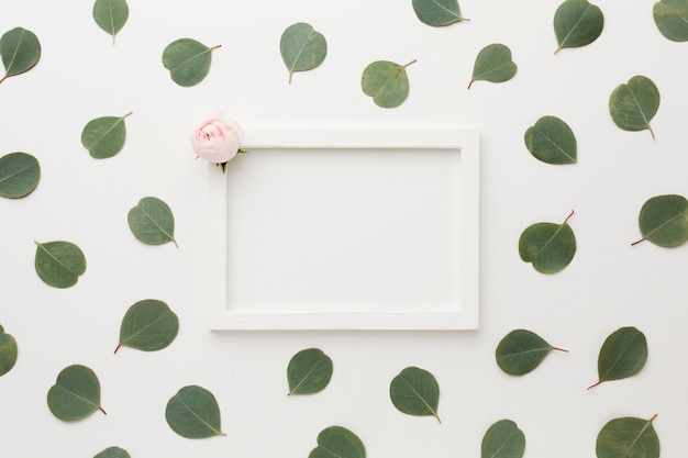 Top view leaves and roses with copy space frame