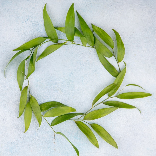 Top view of leaves set in round shape on white surface