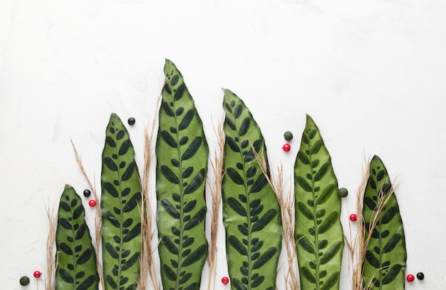 Top view of leaves