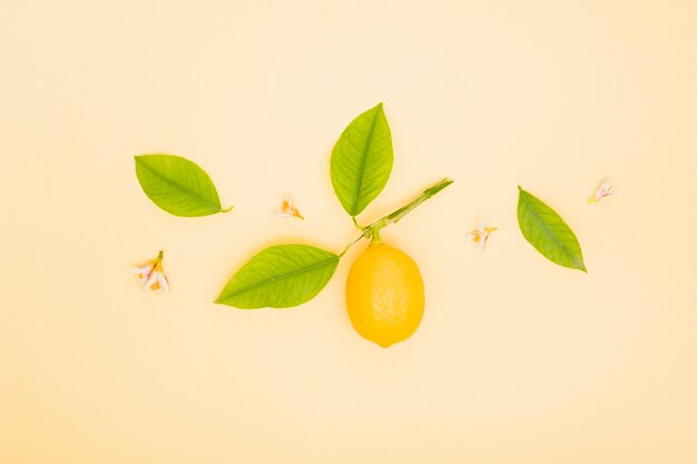 Top view lemon with leaves