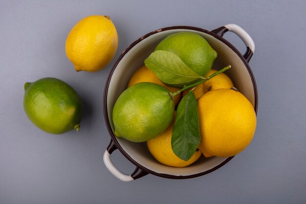 Лимоны с лаймом в кастрюле на сером фоне, вид сверху