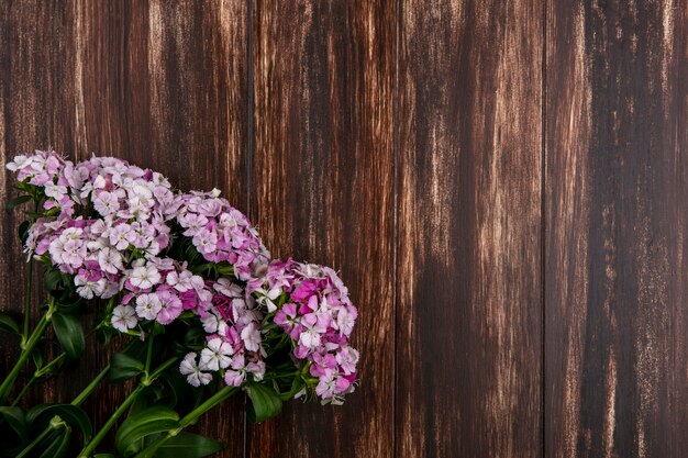 Top view of light pink flowers on wooden surface