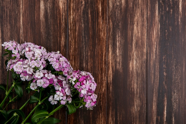 Top view of light pink flowers on wooden surface