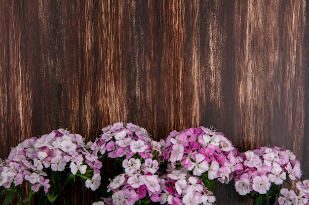 Top view of light pink flowers on wooden surface