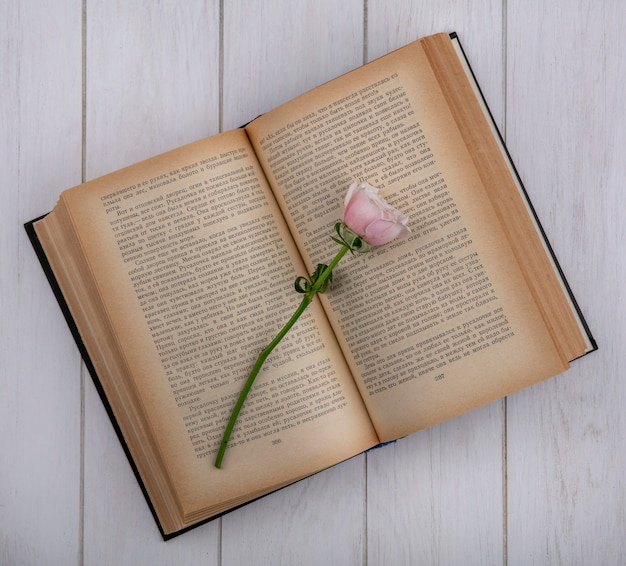 Top view of light pink rose on an open book on a gray surface