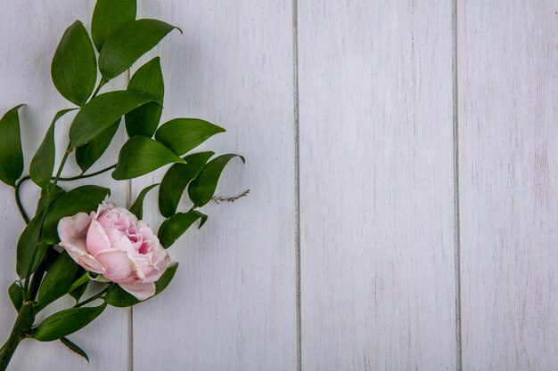 Top view of light pink rose with a branch of leaves on a gray surface