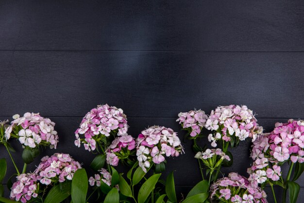 Top view of light purple flowers on a black surface