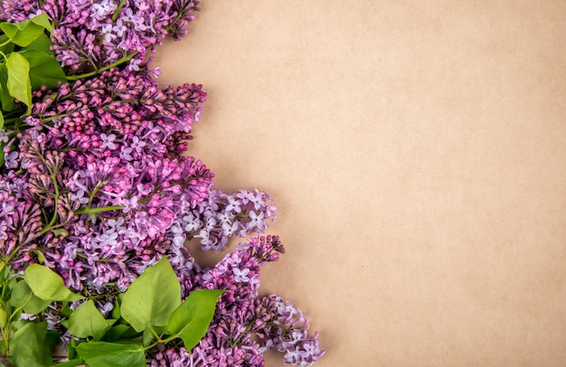 Top view of lilac flowers isolated on brown paper texture background with copy space
