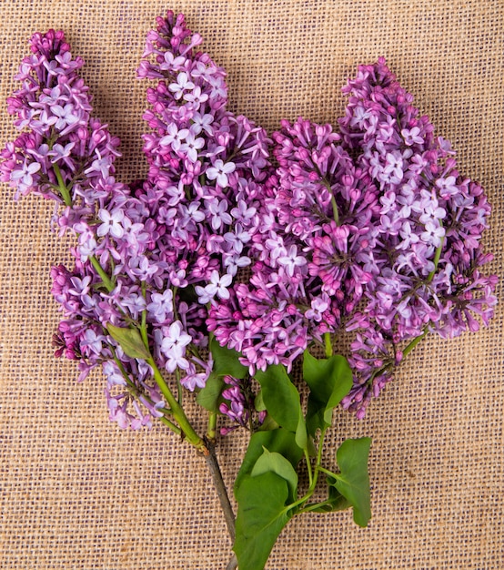 Top view of lilac flowers isolated on sackcloth texture background