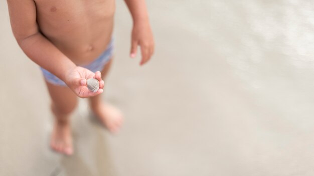 Top view little boy holding a shell