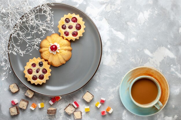 Top view little cakes inside grey plate with milk coffee on light desk biscuit coffee sugar sweet