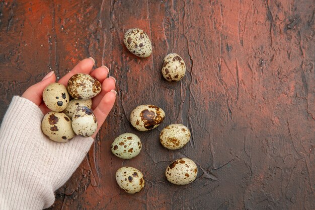 Top view little quail eggs on dark table in famale hand