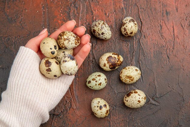 Top view little quail eggs on a dark table