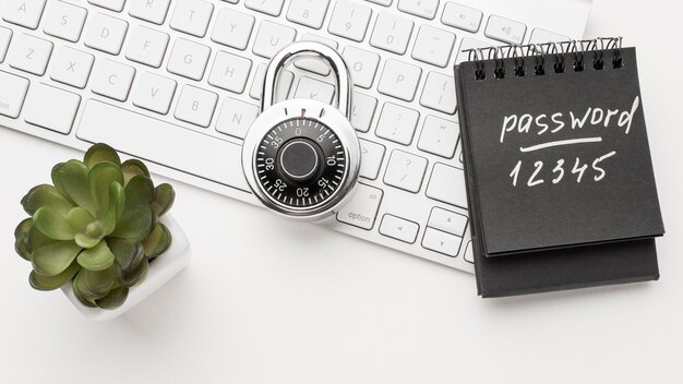 Understanding Telephones and Privacy Concerns in 2024