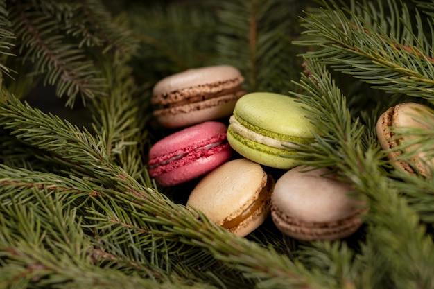 Top view macarons on branches