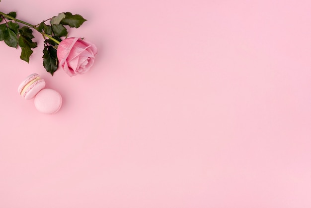 Top view of macarons with rose and copy space