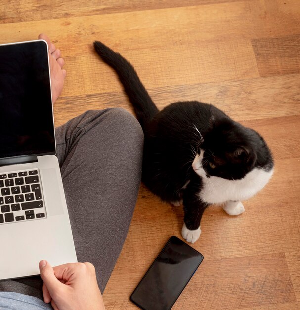 검역소에서 집에서 노트북을 사용하는 고양이와 남자의 상위 뷰가 작동합니다.