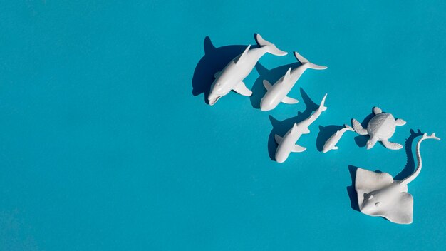 Top view marine animals arrangement